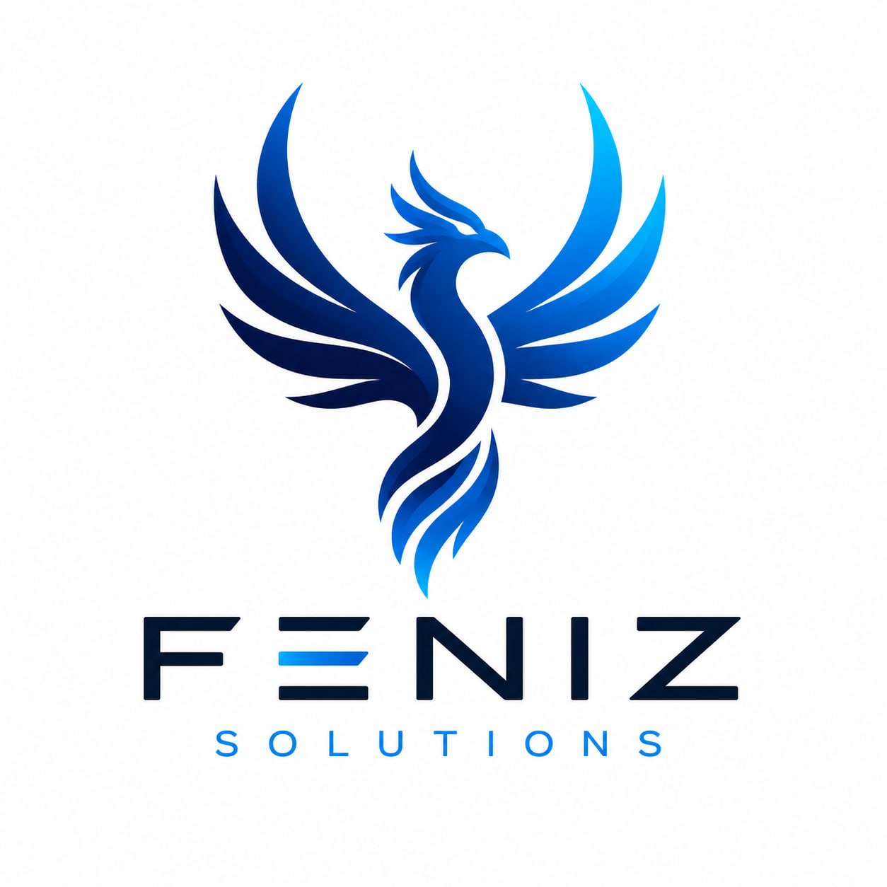 Logo completo Feniz Solutions